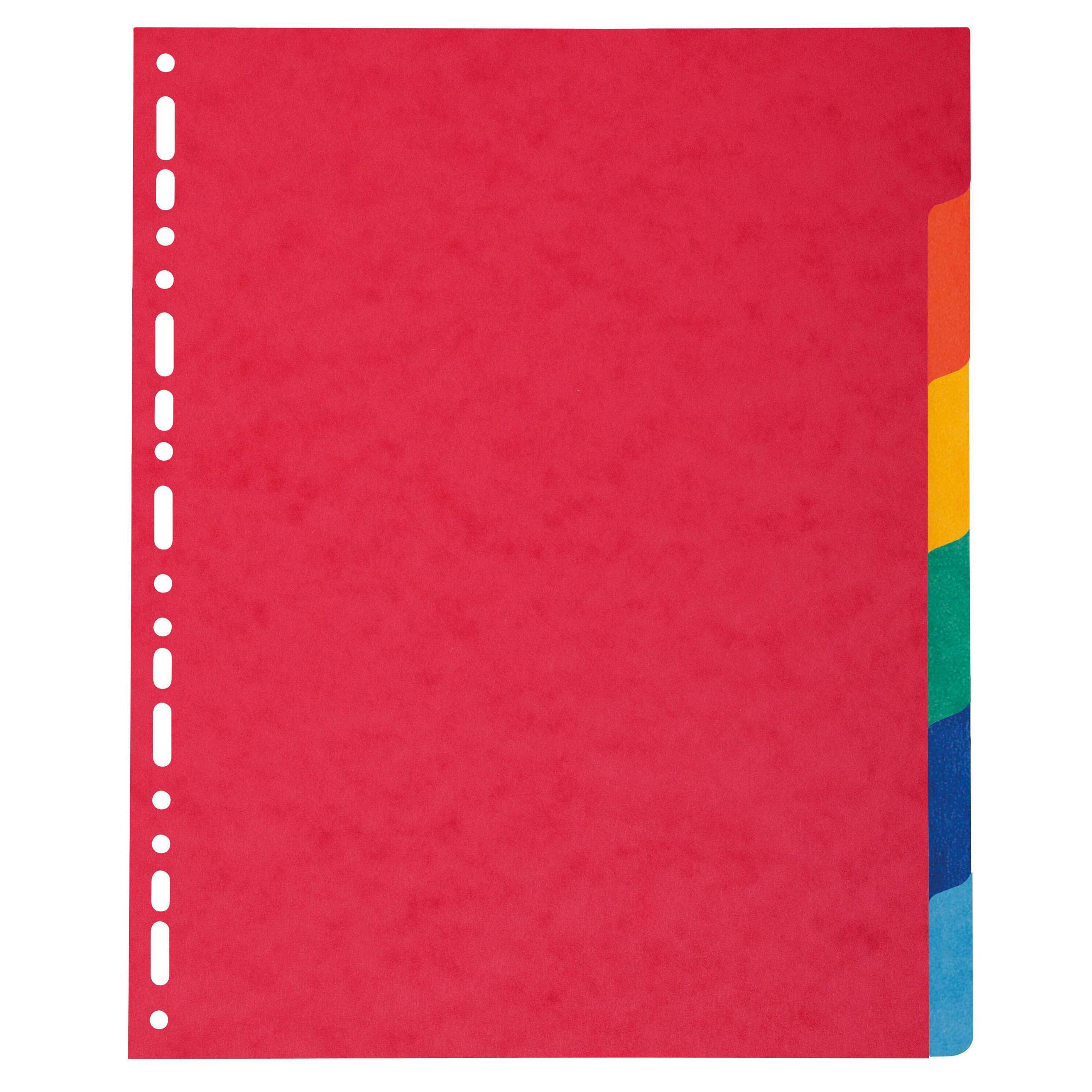 Exaclair - Nature Future Register (6-teilig Karton, blanco/farbig, A4 XXL 240x297mm)