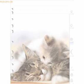 Herma - A4 6-teilig - Tierische Motivregister (1 St.)